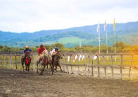 Bubsie posts his tips for the Melbourne Cup