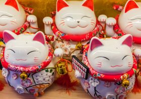 5 Cat Products That You Should Buy From Walmart