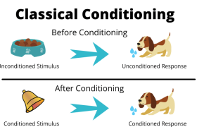 Classical Conditioning for Dogs