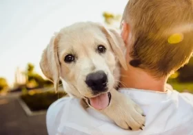 10 Tips for Pet Care