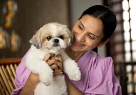 What to Bring for your Pet Sitter/Pet Boarder