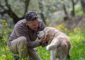 Dog Age Chart: How Old is My Dog in Human Years